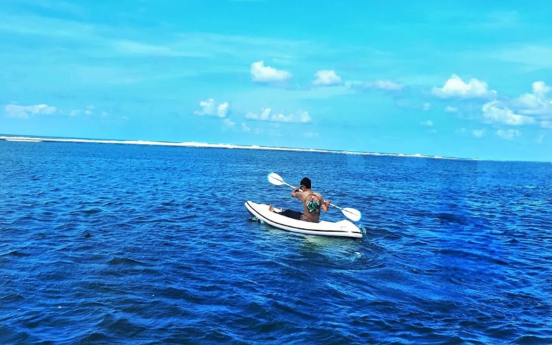 TINTAHIJAU.com – Portal Berita Generasi Milenia