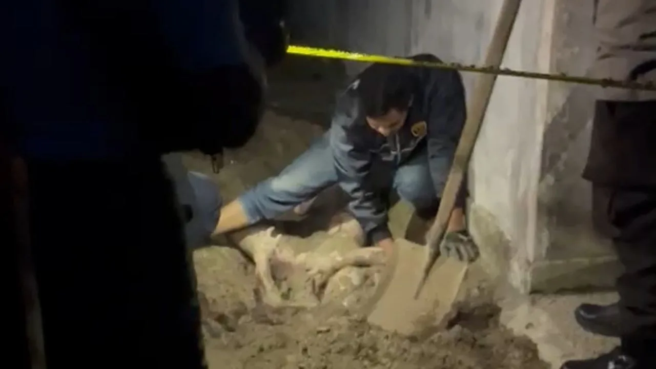 Ada Tato Nama Diana di Lengan Korban – Kutipan