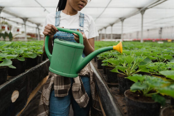 Bisnis Agroindustri di Subang Punya Potensi, Ini 10 Ide Usaha yang Bisa Dikembangkan – TINTAHIJAU.com
