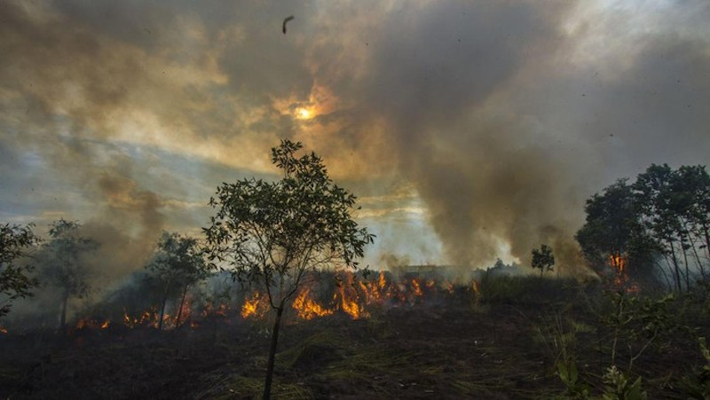 Kabut Asap Karhutla Selimuti Palangka Raya Selama Tiga Bulan, Jalur Penerbangan Bandara Tjilik Riwut Lumpuh – TINTAHIJAU.com